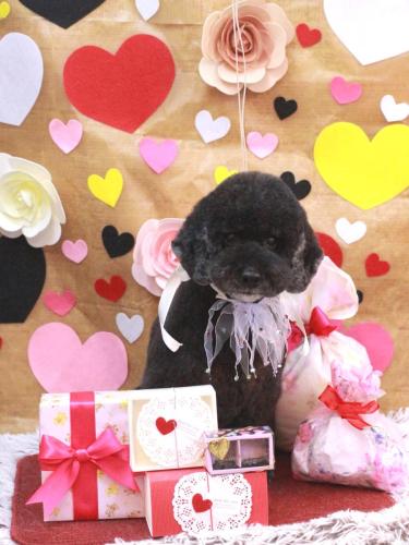 20230224クロちゃん